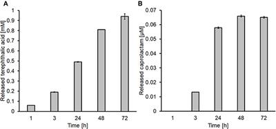 Increased Flame Retardancy of Enzymatic Functionalized PET and Nylon Fabrics via DNA Immobilization